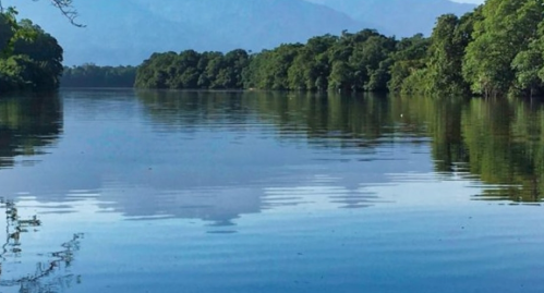 Naturaleza