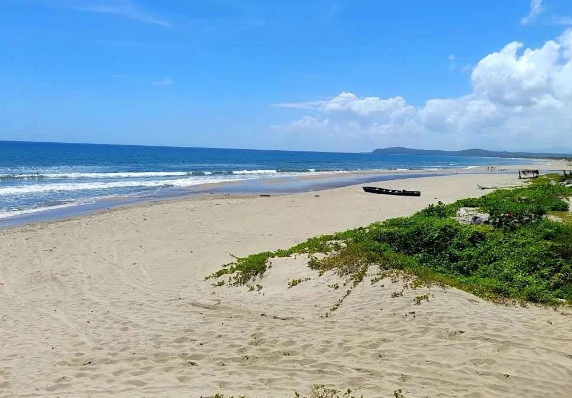 Identidad caribeña de Limón