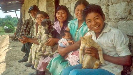 Imagen