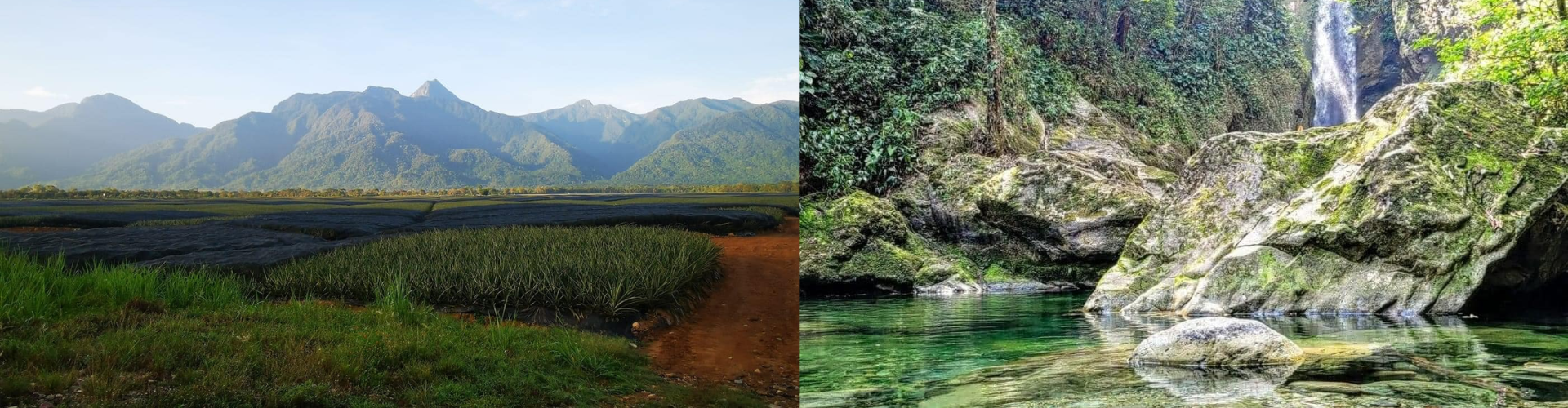 El Porvenir, Atlántida