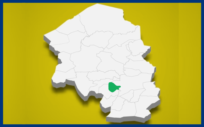 San Vicente Centenario