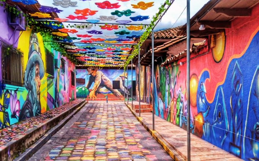 Imagen de Cultura