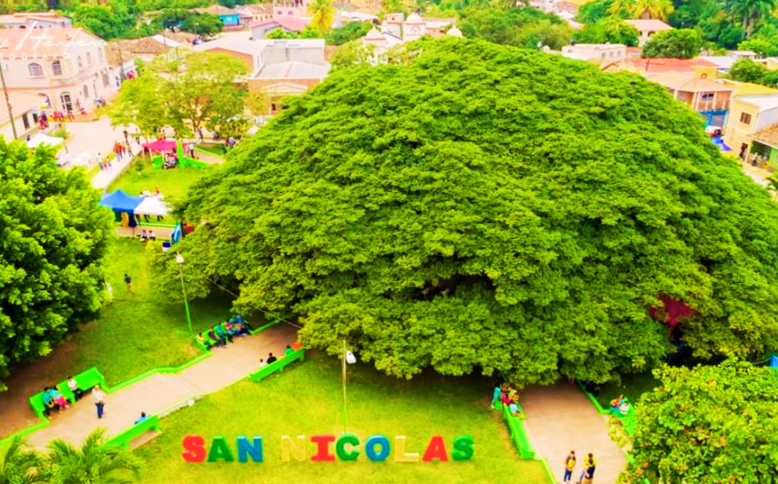 Imagen de Cultura